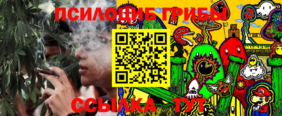 Псилоцибиновые грибы мицелий  что такое наркотик  Железногорск  Псилоцибиновые грибы Magic Shrooms  Вход с VPN 
